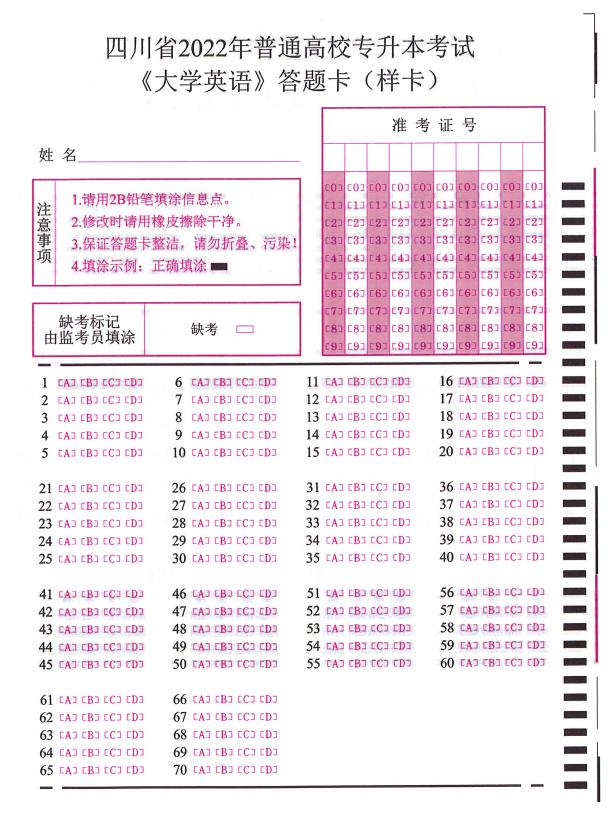 探索未來的無限可能，最新短文中的未來展望