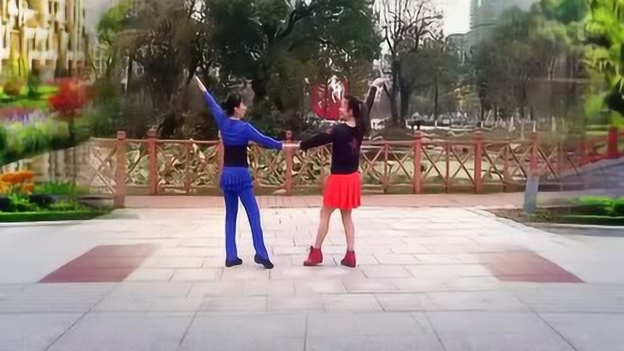 廣場舞最新雙人舞，傳統(tǒng)與現(xiàn)代的獨特藝術(shù)交融風采展示