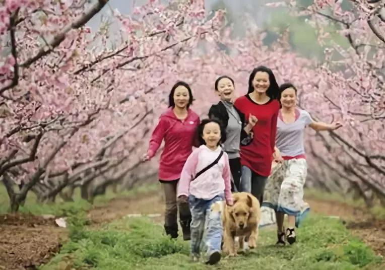 平谷最新發(fā)展動態(tài)，進(jìn)步、變革與挑戰(zhàn)