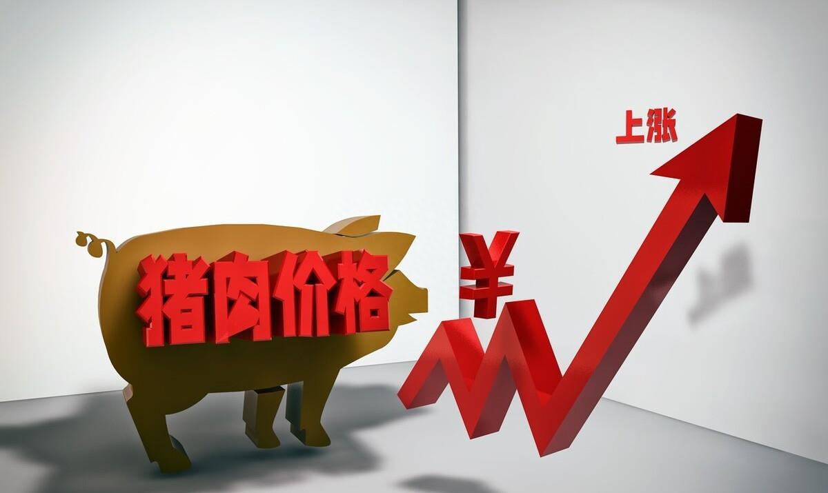 小飛最新動態(tài)，探索未知，砥礪前行
