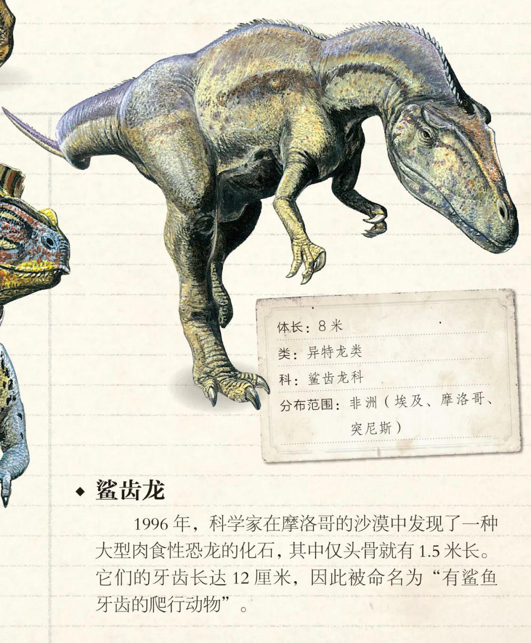 揭示恐龍時代新篇章，最新脊龍研究揭秘新發(fā)現(xiàn)